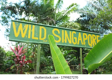 Singapore - 19th Jul, 2020: Wild Singapore Street Sign Painting