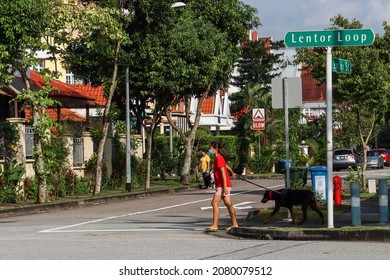 SINGAPORE - 22 NOV 2021: A Migrant Domestic Worker Takes A Dog For A Morning Walk In Lentor Loop. 