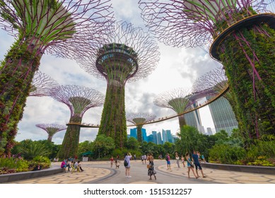 SINGAPORE - 23 August, 2017: Gardens by the Bay is a park or botanic garden in Singapore. - Shutterstock ID 1515312257