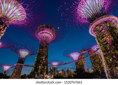 10,030 Singapore tree night Images, Stock Photos & Vectors | Shutterstock