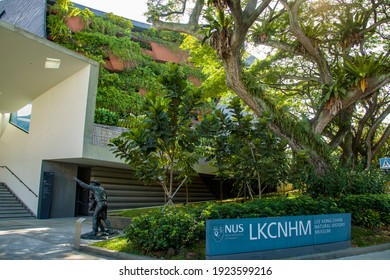 Singapore 23th Feb 2021: The Building Of Lee Kong Chian Natural History Museum, At The Kent Ridge Campus Of The National University Of Singapore, It Houses The Raffles Natural History Collection. 