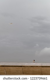 Singapore 25th Oct 2018 - Kite Flying In The Evening At Marina Barrage Singapore.