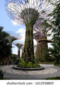 Singapore, Singapore - 26 February 2016 : Singapore Gardens by the Bay - Shutterstock ID 1612958803