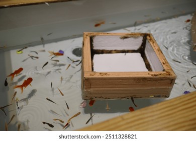 Singapore, Singapore - Apr 22th 2023: A close-up shot of a wooden frame floating in a fish tank, with numerous goldfish swimming around it. - Powered by Shutterstock