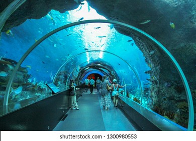 singapore aquarium