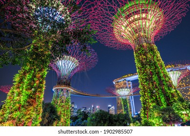 Singapore - April 30, 2018: Garden Rhapsody light and sound shows on Supertree Grove with OCBC Skyway at Gardens by the Bay. Marina Bay Sands on background. Popular tourist attraction. Blue hour shot.
