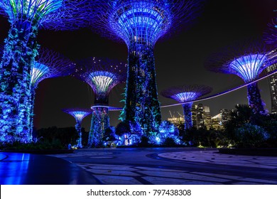 Singapore Botanic Garden