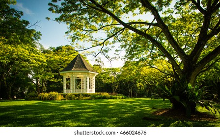 Singapore Botanic Gardens
 - Shutterstock ID 466024676