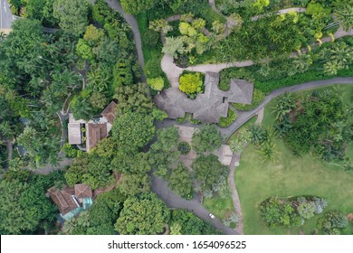 Singapore Botanical Gardens Aerial Drone