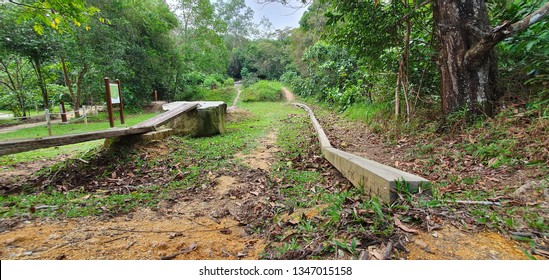 chestnut mtb trail