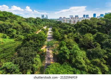 Singapore City in forest with airplane blue sky, View point from Henderson Wave, Singapore - Shutterstock ID 2132596919
