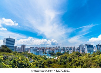 Singapore City In Forrest With Blue Sky, View Point From Henderson Wave, Singapore