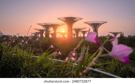 Singapore city, sunset and sunrise Downtown of Singapore is office buildings and business bank financial  - Powered by Shutterstock