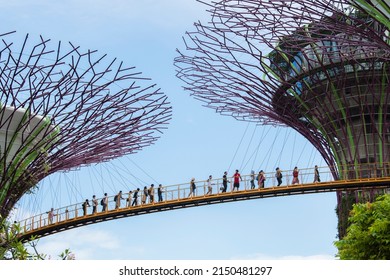 Singapore City,Singapore-September 08,2019: Tourists Tour The Gardens By The Bay A Nature Park In Singapore City.