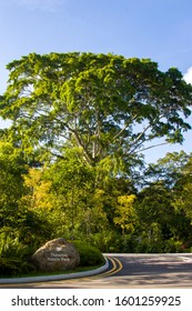 Singapore Dec 30th 2019: The Main Entrance Of Thomson Nature Park. 
Opened On 12 October 2019, The Park Is Being Developed On The Site Of A Former Hainan Village Which Was Established In The 1800s.