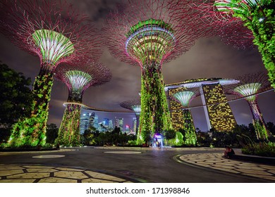 SINGAPORE - DECEMBER 02: Night view on Gardens by the Bay on December 02, 2013 in Singapore. Gardens by the Bay is a part of a plan to transform Singapore from a "Garden City" to a "City in a Garden". - Shutterstock ID 171398846