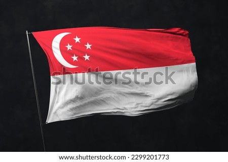 Singapore flag isolated on black background with clipping path. flag symbols of Singapore. flag frame with empty space for your text.