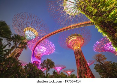 Singapore Gardens By The Bay, Singapore City At Night