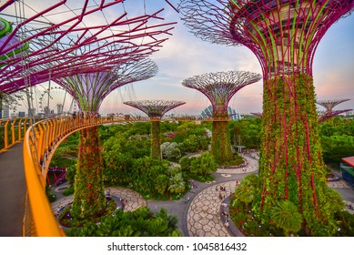 10,506 Singapore supertrees Images, Stock Photos & Vectors | Shutterstock