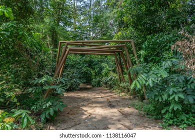 Singapore - july 15, 2018:  Man Made Structure on the path in the Jungle. Coney Island, alternatively known as Pulau Serangoon, is a 133-hectare island located off the northeastern coast of Singapore.