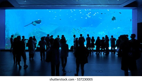 50,751 Singapore Sea Images, Stock Photos & Vectors | Shutterstock