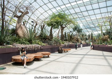 Singapore - Mar 19, 2021: People Walk In The Gardens By The Bay Flower Dome Pavillion In Singapore.