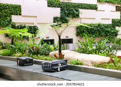 SINGAPORE, SINGAPORE - MARCH 2019: Luggage arriving among lush green plants in Changi Airport. Singapore Changi Airport, one of the largest transport hubs - Shutterstock ID 2037854621