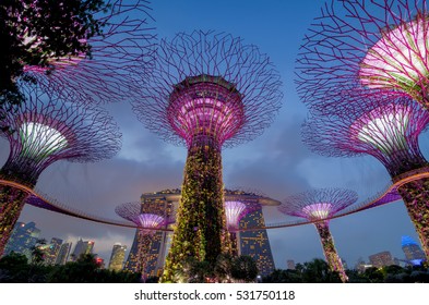 Singapore March 23 2016 Night View Stock Photo 531750118 | Shutterstock