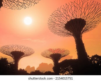 Singapore, May 1, 2022: Landscape Silhouette Scenery Of Sunrising With Golden Orange Sky At Supertree Grove At Garden By The Bay In Singapore