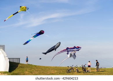 SINGAPORE, MAY 29: Cyclists Admire Large Flying Multi Colored Kites At East Coast Park On May 29, 2016. 