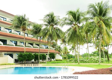 Singapore - Nov 11 2018:  Swimming Pool And Coconut Trees In Country Club Resort