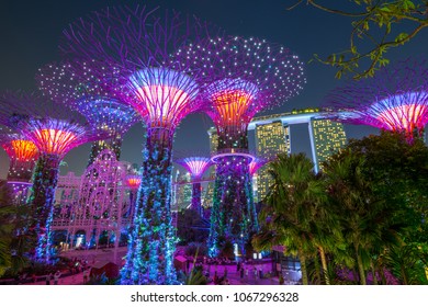 Singapore, November, 08, 2017 -  People Enjoy A Beautiful Night  To Visit The Supertree Grove At Gardens By The Bay