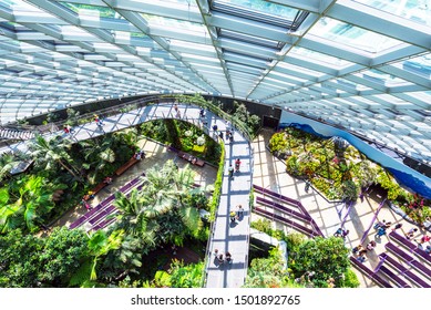 SINGAPORE - NOVEMBER 11, 2018: Cloud Forest Dome, Gardens By The Bay. Top View