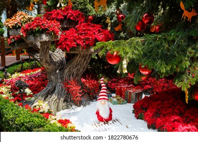 Singapore, Singapore-November 25, 2019: Gardens By The Bay, Flower Dome, Beautiful Christmas Decorations
