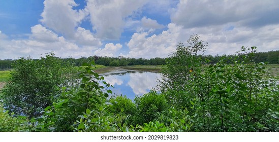 Singapore Sungei Buloh Wetland Reserve