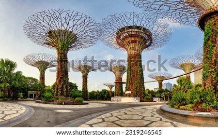 Singapore Supertrees in garden by the bay at Bay South Singapore