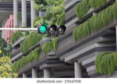 Singapore Traffic Light - Green With Plants As Background