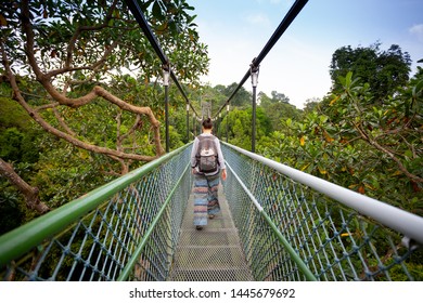 Singapore Tree Top Walk Bridge