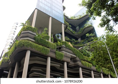 Singapore Vertical Garden In A Building -  A Green City - February 26 2018