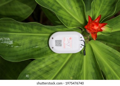 SINGAPORE-2 MAY 2021: A TraceTogether TOKEN (L) Is A Device That Exchanges Bluetooth Signals With Other TraceTogether Tokens Or TraceTogether MOBILE APPS Nearby, To Aid Digital Contact Tracing Efforts