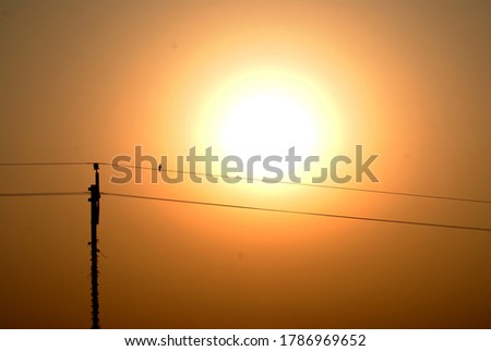a single alone bird is sitting on a electric wire in the time of sunset in natural light , a silhouette bird photo