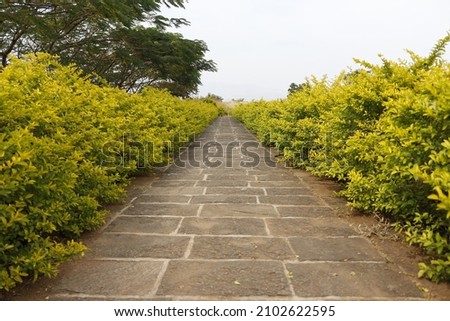 Single alone Way with greenery 