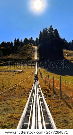A single alpine coaster climbs a grassy hill toward a forest under dramatic sunlight. Surrounded by trees and fencing, the scene captures outdoor adventure and scenic elevation.