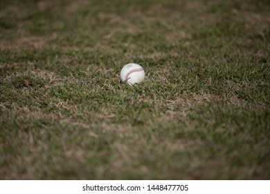 single baseball laying in the grass