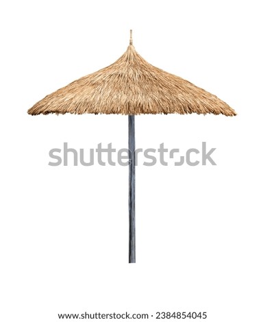 Single beach umbrella parasol made of coconut leaf isolated on white background for the beach design