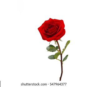 Fleur Rouge Images Photos Et Images Vectorielles De Stock Shutterstock