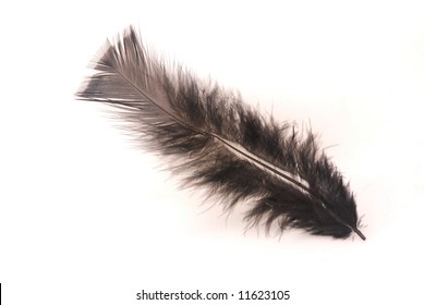 Black Feather Texture On White Background Stock Photo 1553426105 