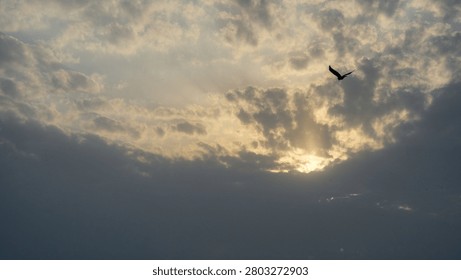 A single bird soars through a sky filled with dramatic clouds as the sun sets, casting golden rays.