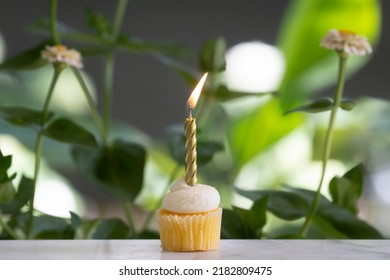 Single Birthday Candle On A Small Vanilla Cupcake With A Green Outdoor Background