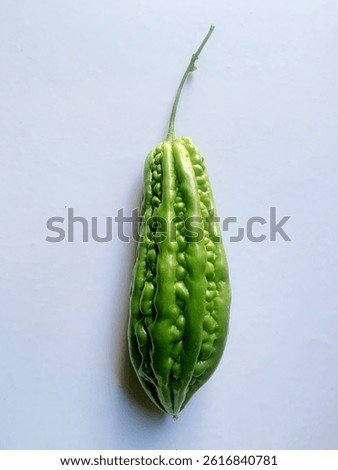 Single bitter gourd standing vertically on white background.